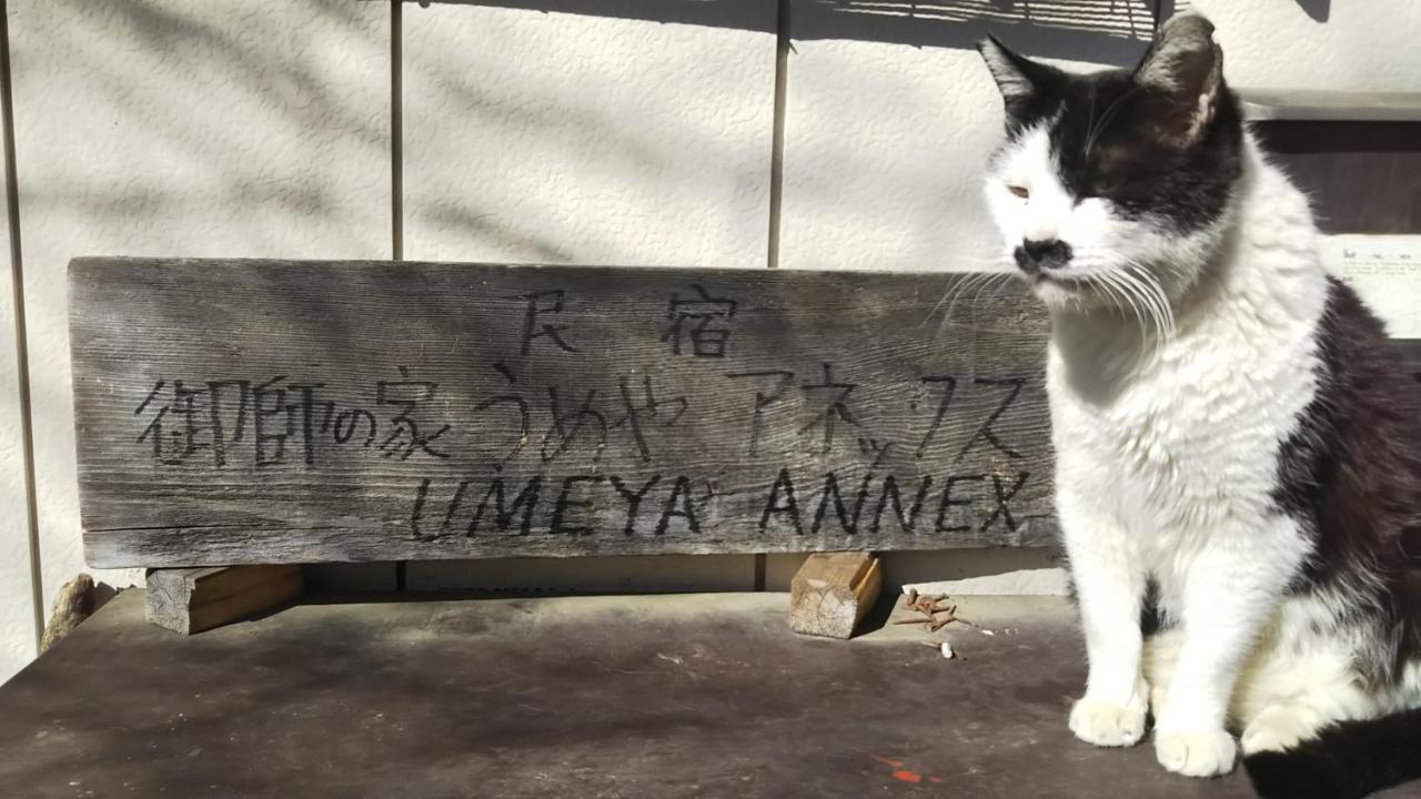 후지카와구치코 Umeya Annex 게스트하우스 외부 사진